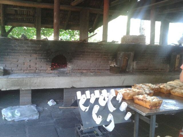 colono